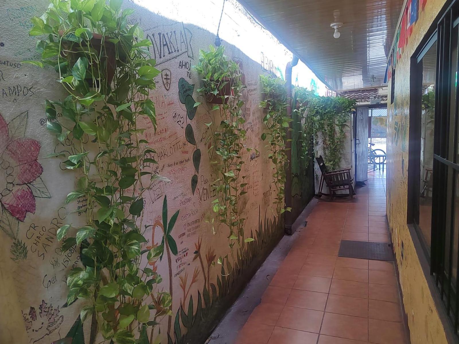 Hostel Pura Vida En Liberia Dış mekan fotoğraf